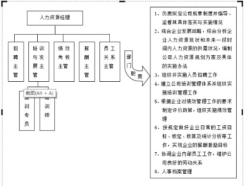 人力资源部组织结构及职责封面