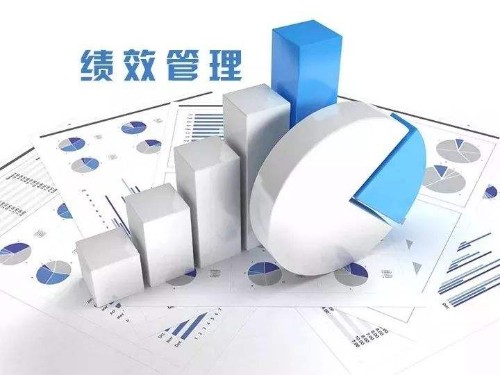 某公司绩效考核管理办法（完整案例）封面