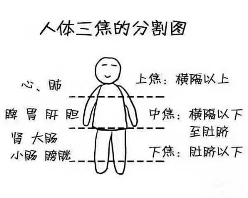 三焦封面