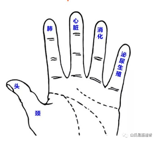 手掌、5个手指与五脏六腑的关系封面