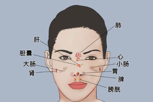 五脏六腑与面部的对应关系封面