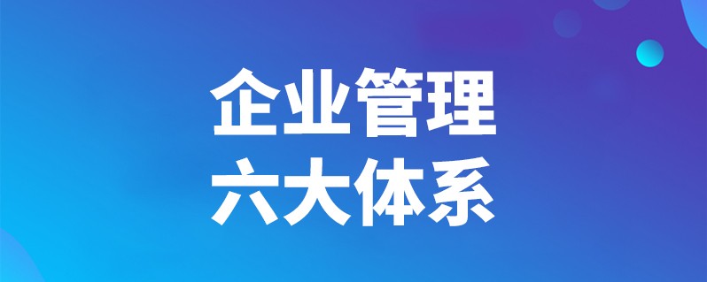 某在线法律服务集团管理咨询项目封面