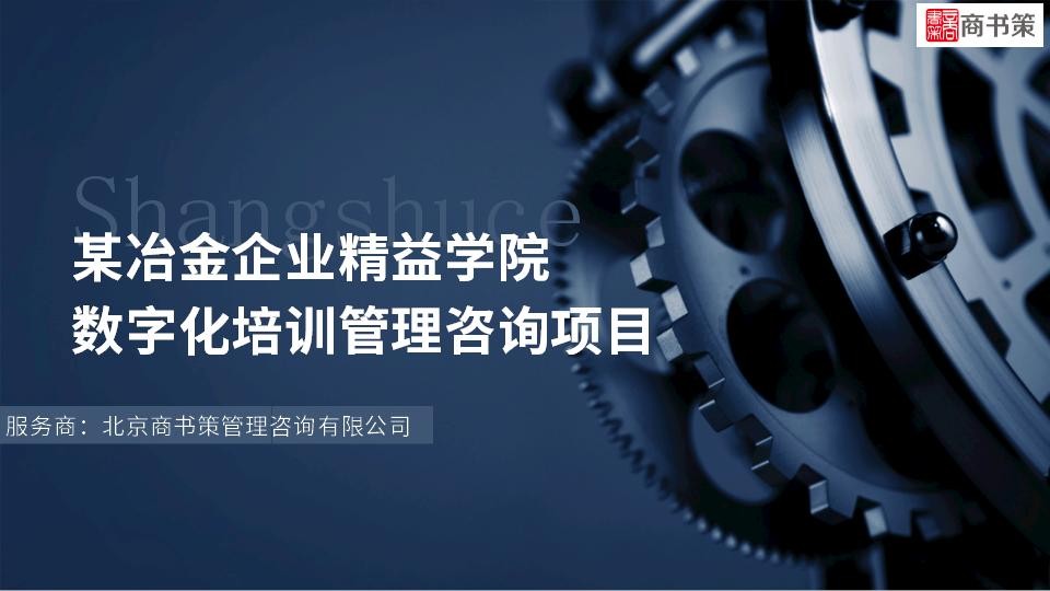 某冶金企业精益学院数字化培训管理咨询项目封面