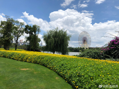 中山二院感染科张立伐教授今日讲：疫情感染高峰差不多过去了……封面