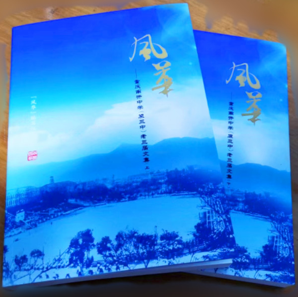 壮志未酬，风华依旧封面