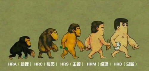 人力资源术语及缩写封面