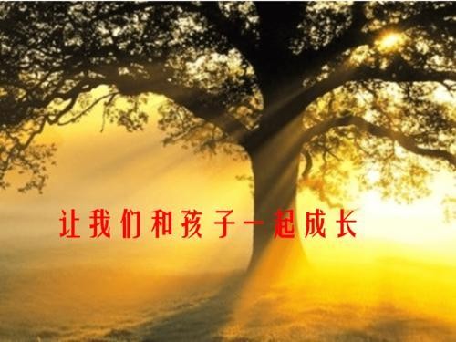 陪伴成长封面