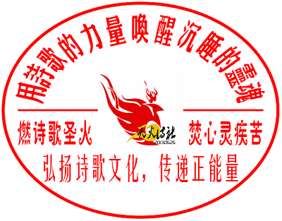 天火诗社·诗歌封面