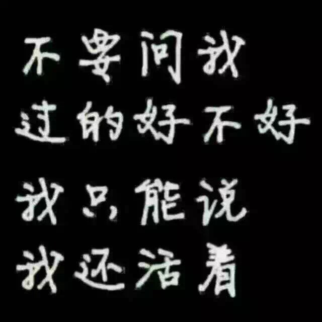 且行且珍惜封面