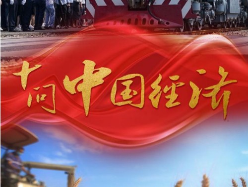 十问中国经济（转自新华社网站）封面