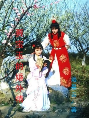 远星云中短篇文集封面