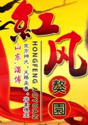 山东红风獒园头像
