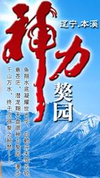 中国神力獒园头像