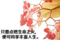海棠头像
