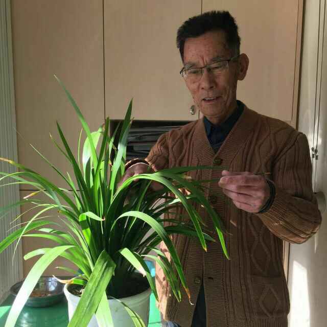 四一先生头像