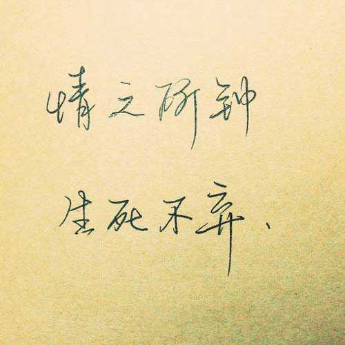 精文汇头像
