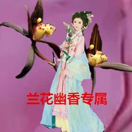 兰花幽香头像