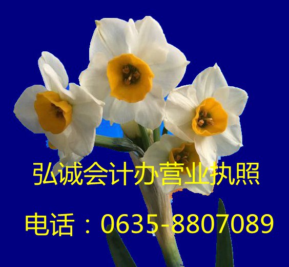 永远是春天头像