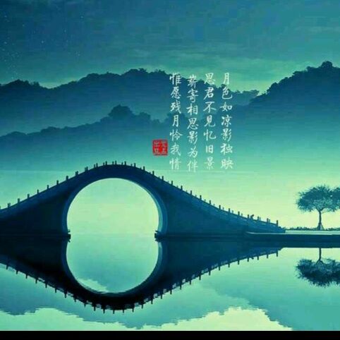 心海/aiq飘扬头像